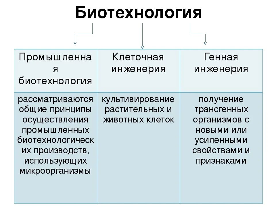 Выберите примеры генной инженерии Реализация ген информации