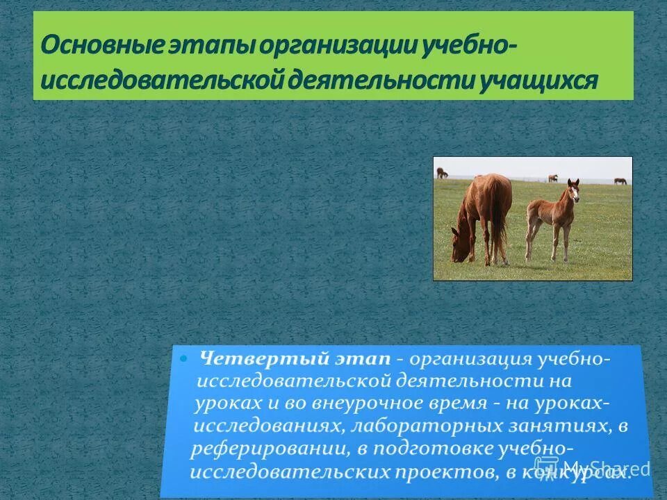 Географические типы сельского хозяйства мира. Характеристика типов сельского хозяйства. Экономическое развитие как понятие. Основные направления развития апк. Основные направления спортивного движения.