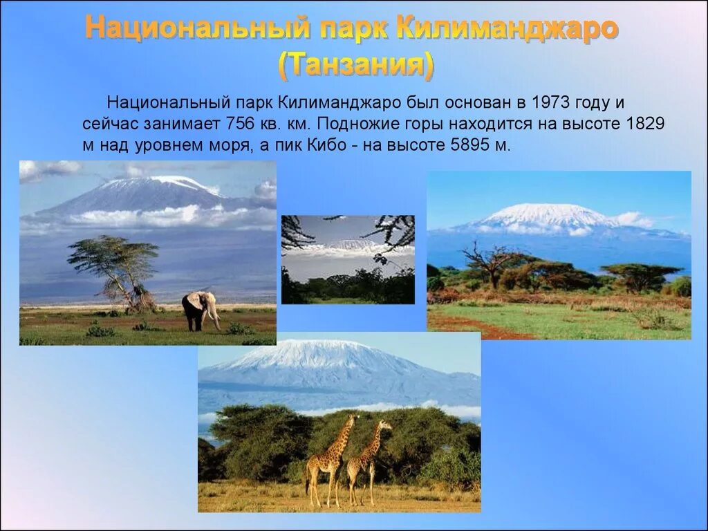 Заповедник 2 класс окружающий мир кратко. Национальный парк Килиманджаро. Национальный парк Килиманджаро в Танзании. Национальный парк Килиманджаро презентация. Страна и национальный парк и заповедник.
