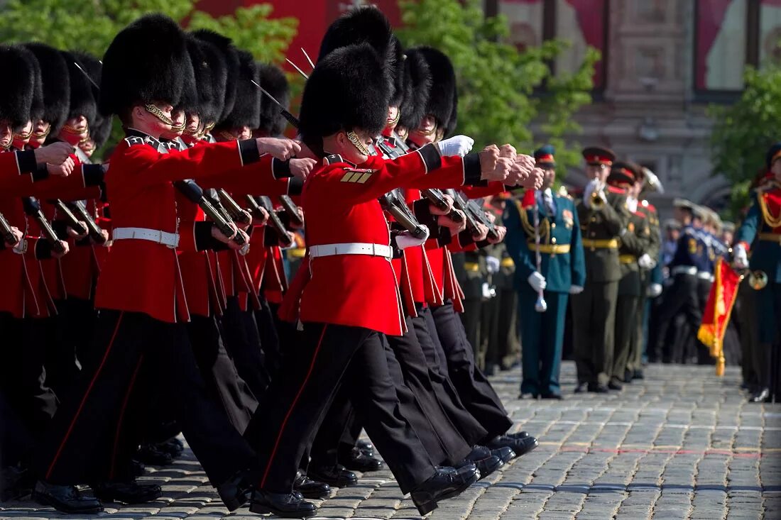Разложи королевский парад. Королевское шествие. Королевский пасьянс. Датская королевская лейб-гвардия. Королевский парад играть бесплатно.
