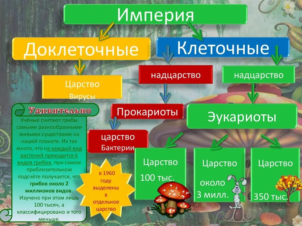 Что такое империя определение. Царства надцарство живой природы. империя клеточные царство растений. клеточные надцарство прокариоты царство. классификация грибов.