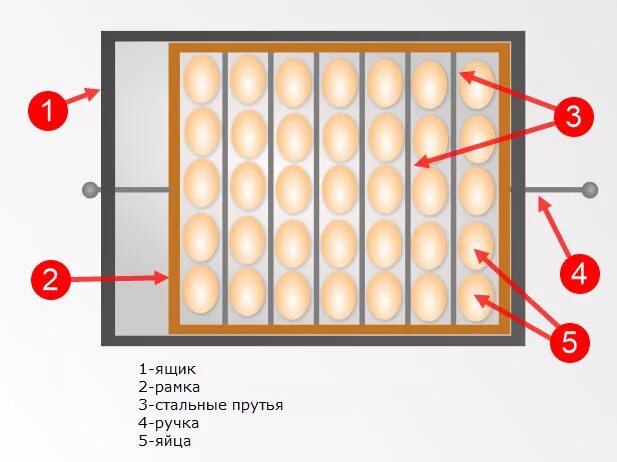 Сколько раз переворачивать яйца. Переворачивать яйца в инкубаторе. Решетка для инкубатора. Переворот яиц в инкубаторе вручную. Схема поворота яиц в инкубаторе.
