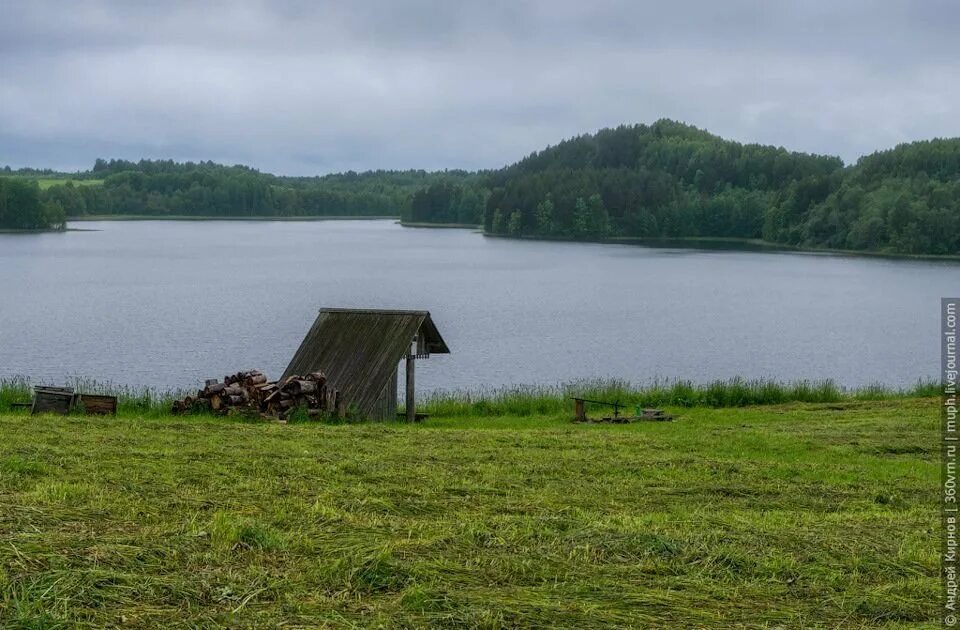 Кенозерский национальный парк. Масельга Кенозеро. Озеро Кенозеро Архангельская область. Кенозерский национальный парк озера.