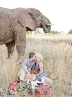 Safari romance