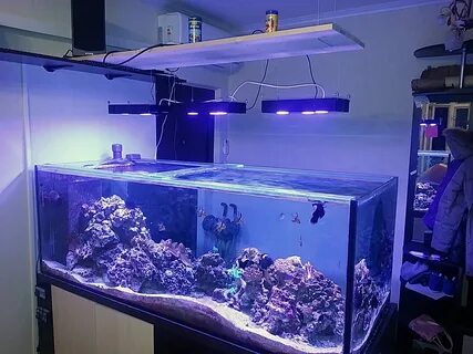 Светильник для морского аквариума