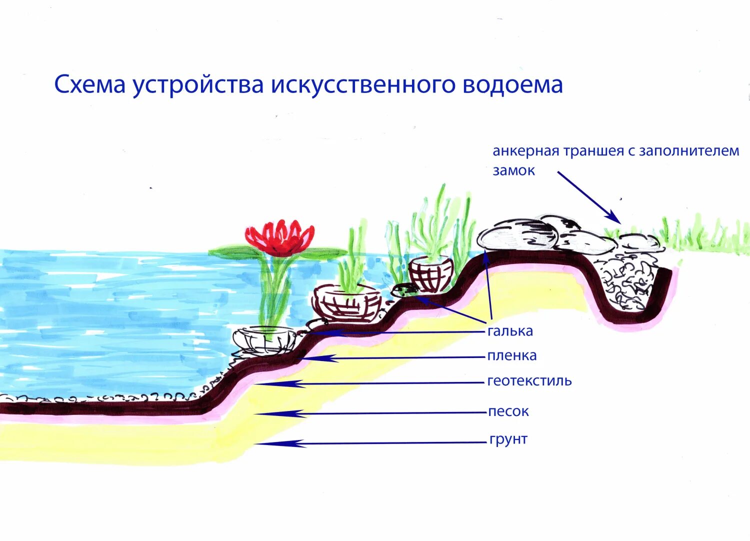 Схема устройства искусственного пруда. Технология устройства искусственного пруда. Искусственный пруд схема. Биоплато для пруда схема. Пруд сокращение