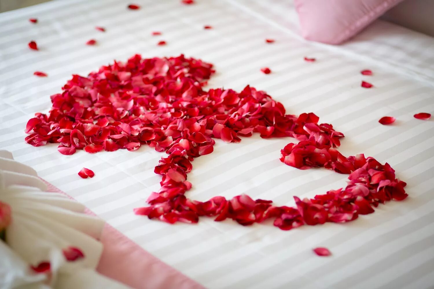 Почему лепестки роз. Лепестки роз. Лепестки роз на кровати. Сердце из лепестков. Фотосессия с лепестками роз.