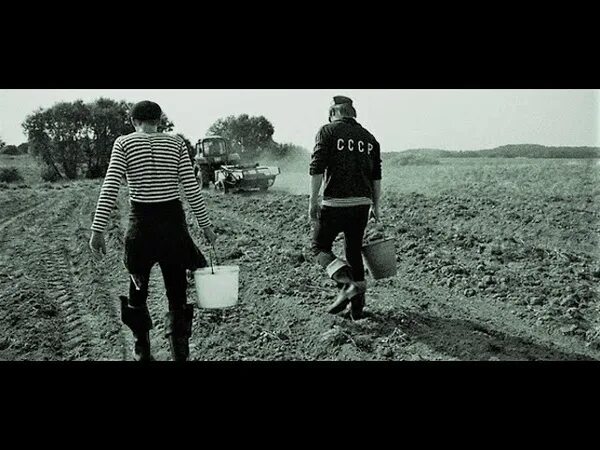 Махнем в деревню гоп. Студенты на картошке. муж картошка. песня гоп стоп дубай махнем в деревню. реклама биржи алиса видео.