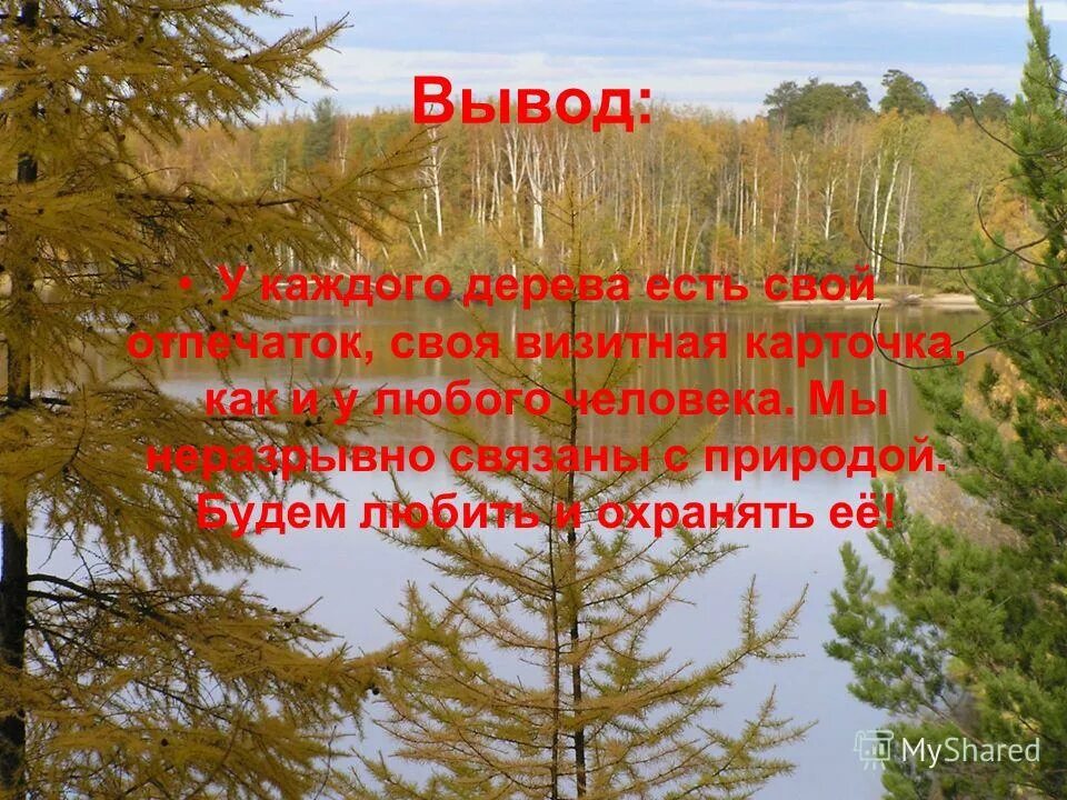 у каждого дерева свой. у каждого дерева свой. каждому детеву свой листок. анализ произведения учись у них у дуба у березы. изо всех сил старайся очищать себя от зла к людям ибо.
