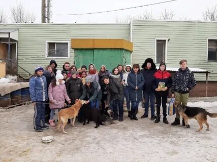 Дорогой добра приют