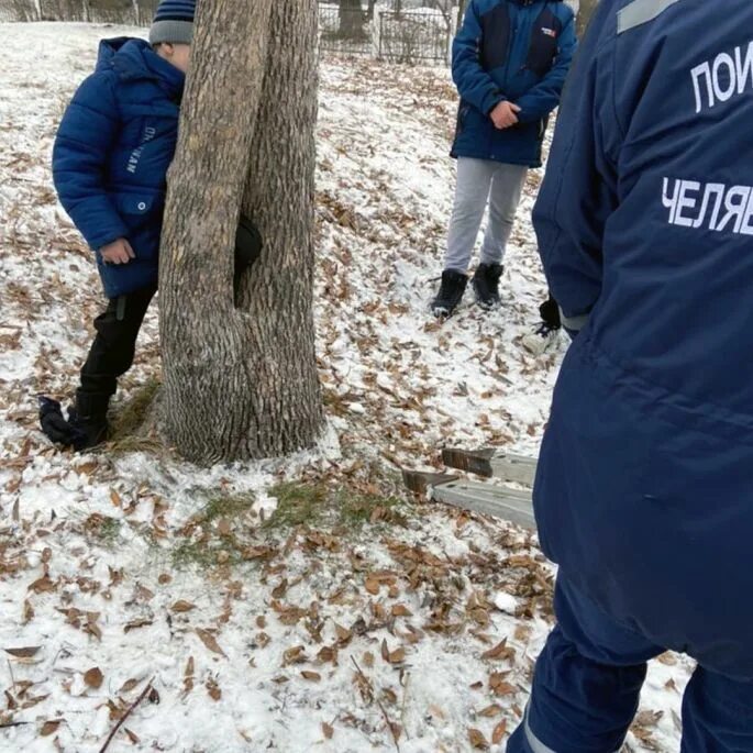 Застряли лось между сосен. Застряла в лесу между деревьев. Застряла между деревьев. Лось застрял между деревьев. Между деревьями человек застрял.