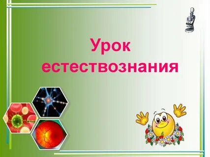Урок естествознания в начальной школе