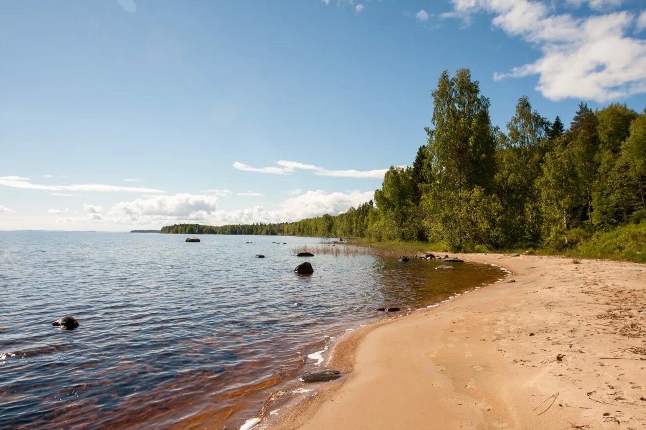 Онега онежское озеро. Деревня черное ладожское озеро. Отдых на берегу онежского озера. Малая медвежка карелия. Природа карелии онежское озеро.