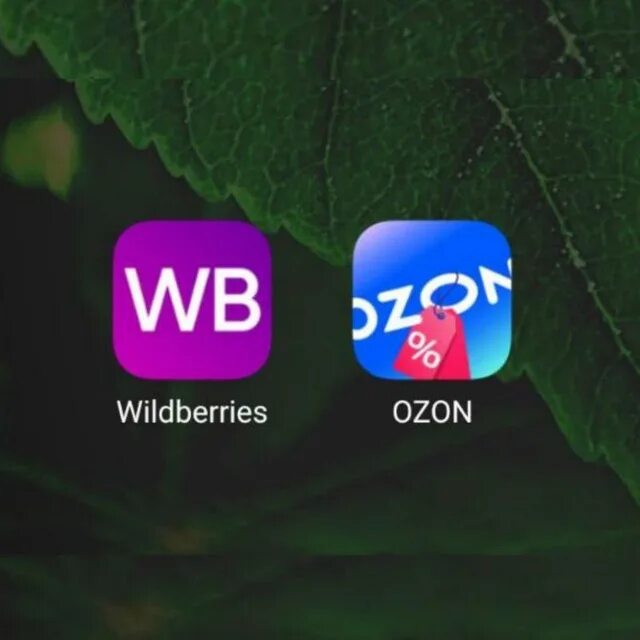Данные приложения wildberries. Приложения o&#039;zon. wildberries на iphone. iphone на wildberries за 1 рубль. озон иконка приложения.