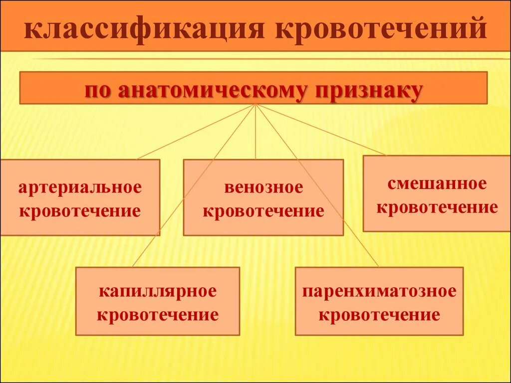 Кровотечения бывают следующих видов ответ. Классификация кровотечений. Классификация кровотечений по анатомическому признаку. Кровотечение классификация кровотечений. 2. Классификация кровотечений.