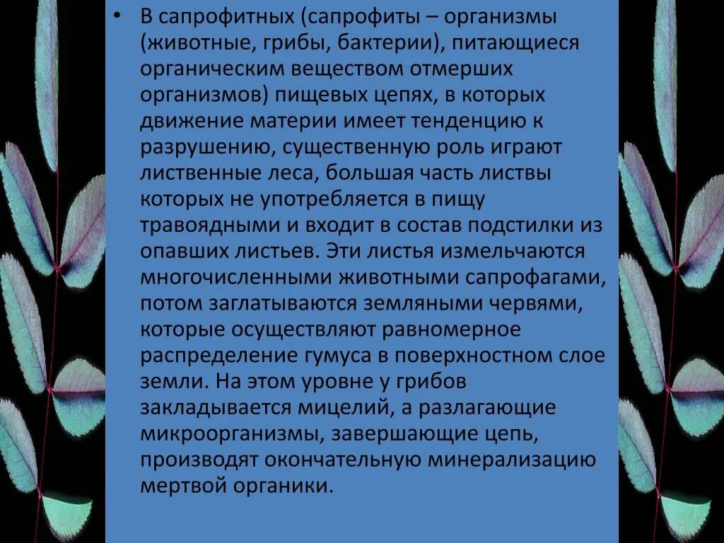 Сапрофиты автотрофы. Организмы сапрофиты. грибы-сапрофиты это организмы которые. сапрофиты питаются органическими веществами мертвых организмов. организмы которые питаются отмершими органическими веществами.