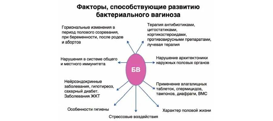 Схема лечения молочницы и бактериального вагиноза. Схема терапии бактериального вагиноза. Бактериальный вагиноз схема лечения препараты. Схема лечения бактериального вагиноза вагинита. Вагинит и вагиноз