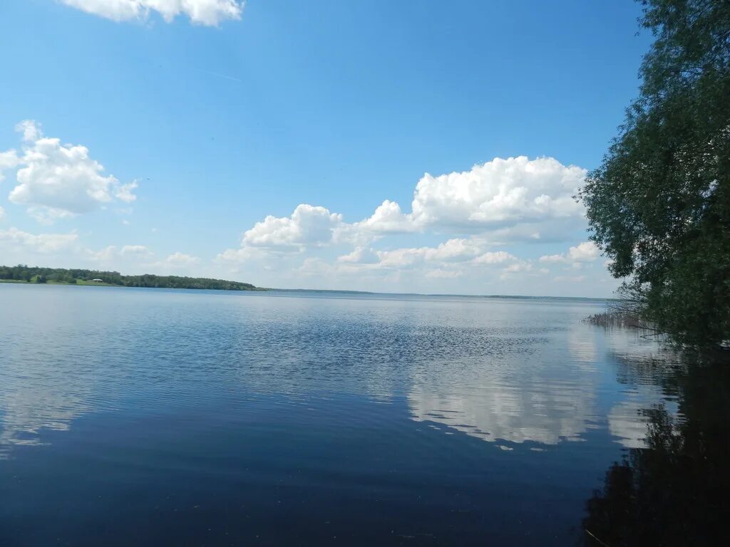 Руза московская область водохранилище. Дом шале руза. Рузское водохранилище дома. Рузское водохранилище дома. Рузское водохранилище дома.