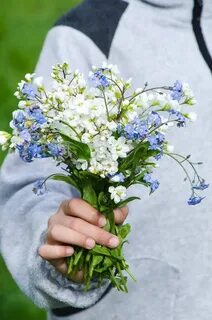 Подарю букет полевых