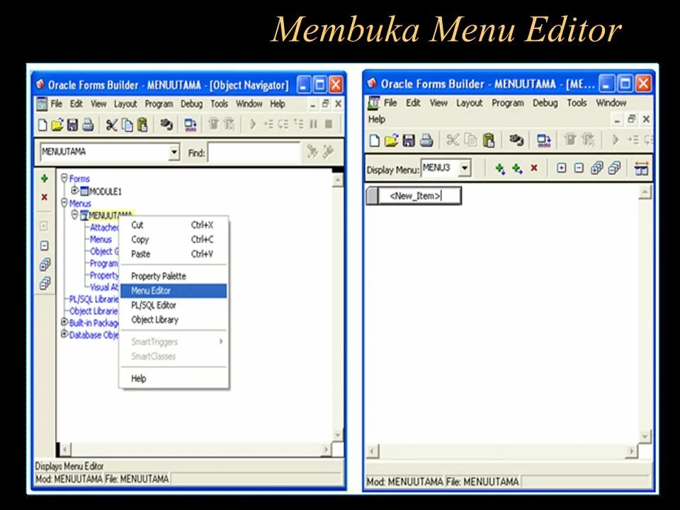 Формат oracle. Oracle forms. оракл формс.