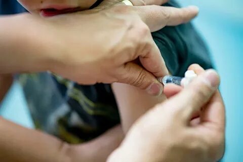 Начата вакцинация