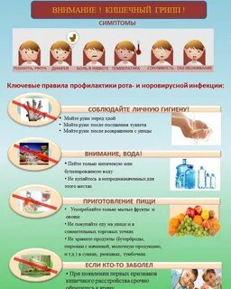 Пищевой грипп