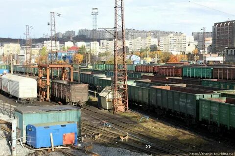 Жд мурманск петербург