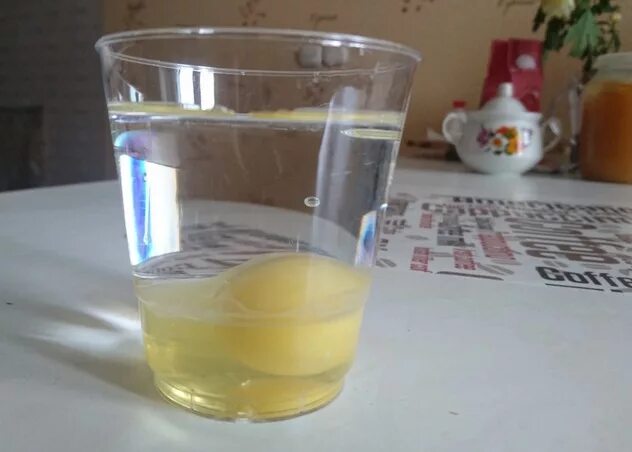 Фотография Home medicine, Beer glasses, Dog neck warmer