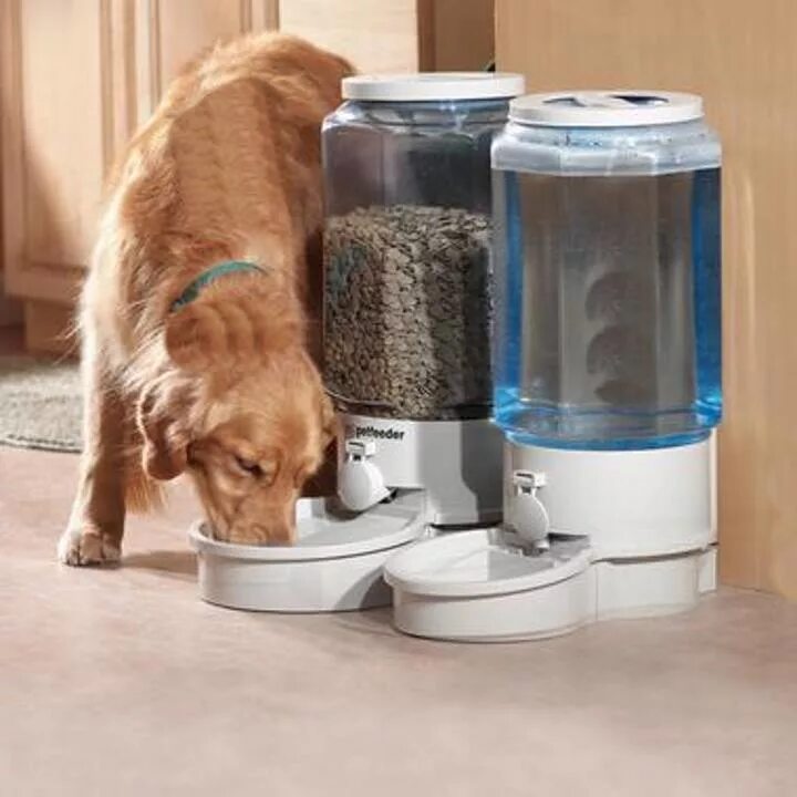 Автоматическая кормушка robot pet feeder. Feed-ex pf100 автокормушка для кошек и собак. Automatic pet feeder. Электронная кормушка для собак pet feeder pf-105. Кормушка automatic pet feeder.