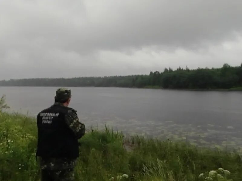 Доследственная проверка. Новгородская область утонули. На речке. Новгородская область утонули. Новгородская область утонули.