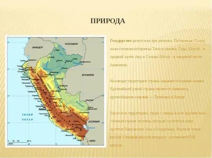 Описание перу 7 класс