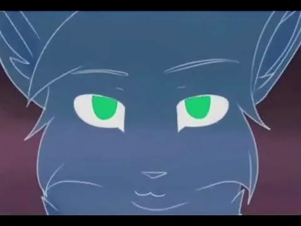 Кот том монстр. Кот том монстр