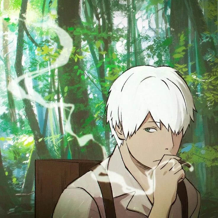 Мастер муси 2. Мастер муси гинко. Гинко мастер муши арт. Гинко мушиши. Мастер муси 2005.