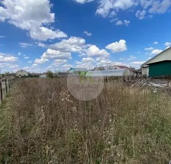 Дубки пенза садовое дачное товарищество пригородное 474