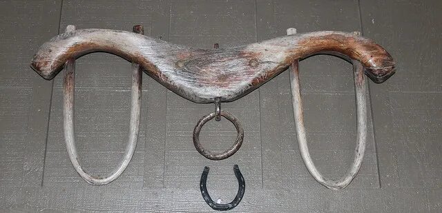 Ярмо красивое фото. Ярмо у быка. Ярмо для волов. Ярмо. Иго ярмо.
