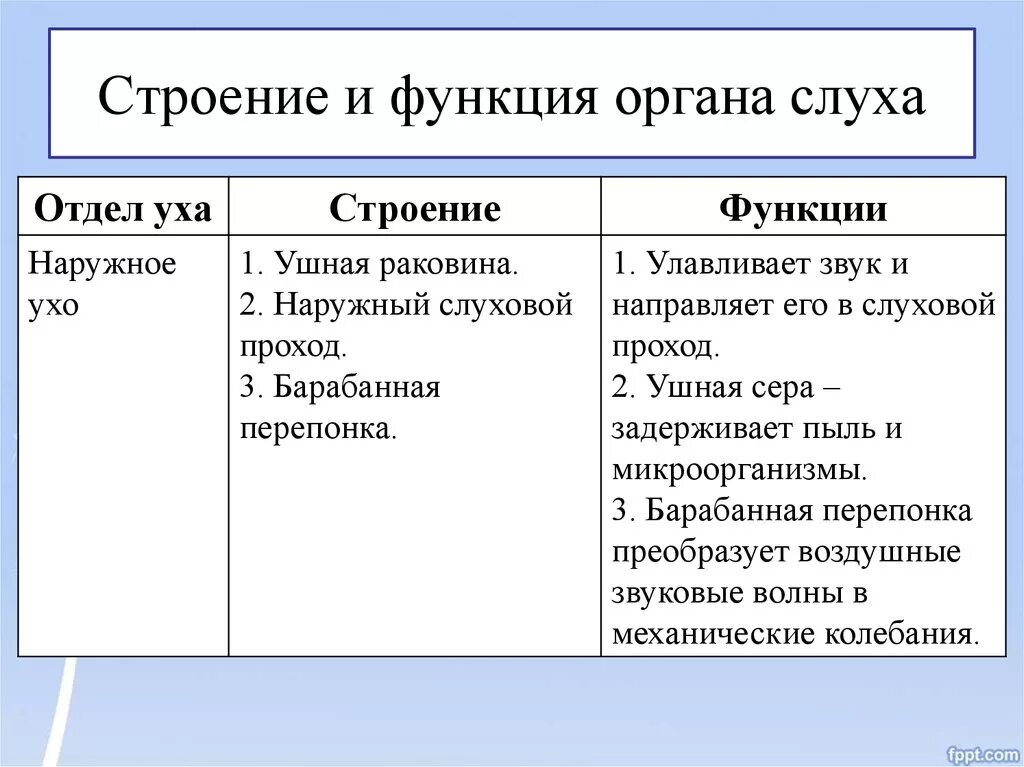 Среднее и внутреннее ухо функции. Среднее ухо его строение и функции. Внутреннее ухо его строение и функции. Строение и функции наружного уха. Наружное ухо строение и функции.