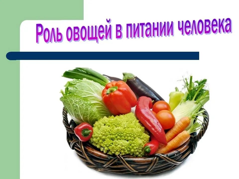 Технология продуктов питания из растительных. Овощи в питании человека. Роль овощей в питании человека. Важность овощей в питании. Доклад на тему овощи в питании человека.