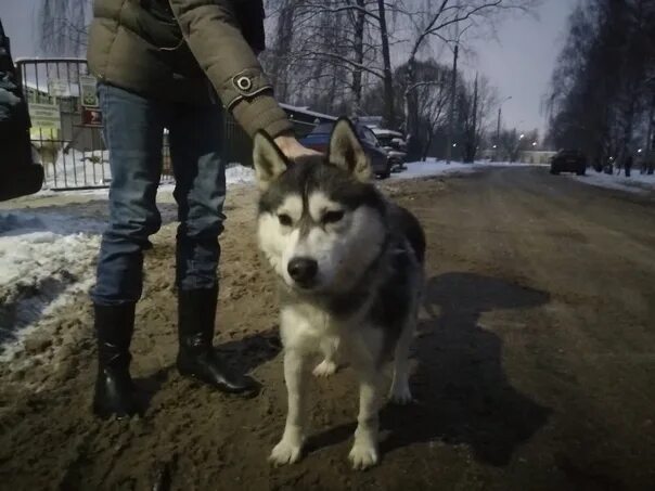 Майский день приют в контакте