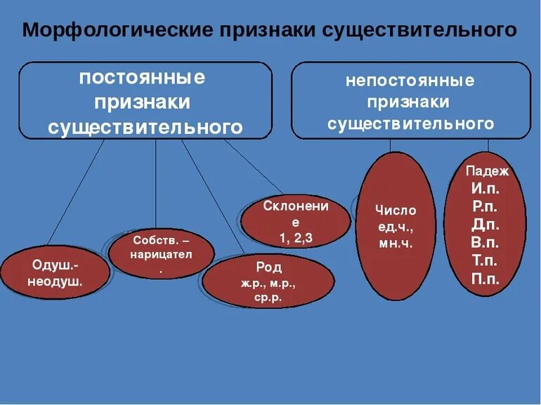 Морфологические признаки существительных. Существительное морфологические признаки. Морфологические признаки имени существительного. Имена существительные морфологические признаки. Постоянные морфологические признаки прилагательного 5