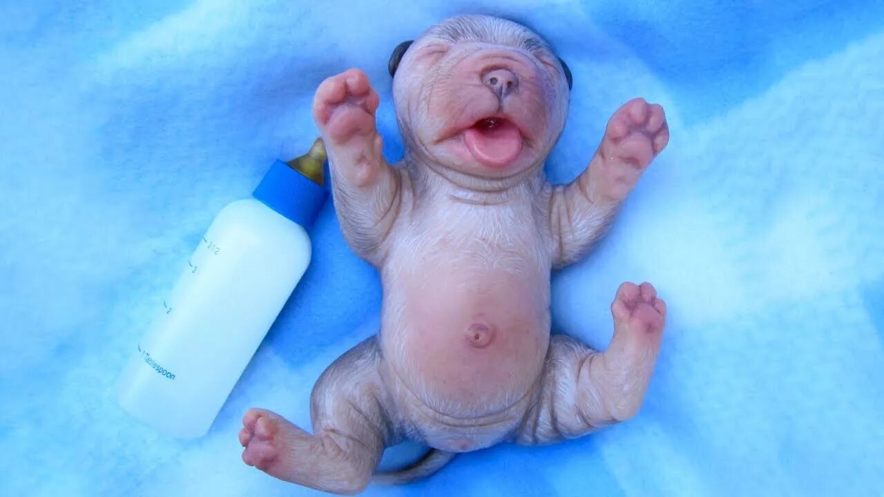 Новорожденные животные. Недоношенный Слоненок. Игрушка Новорожденные животные. Новорожденные животные фото.