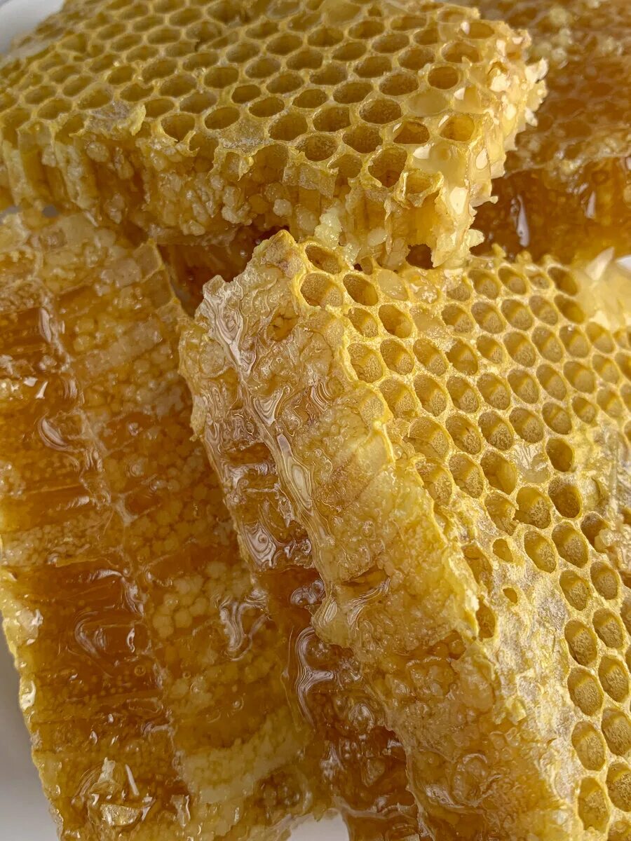 Соты. Соты пчелиные. Сотовый мед. Пчелиные соты с медом.