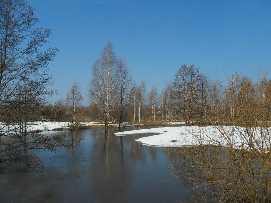 Вода затопила луга. Реки с весенним половодьем.