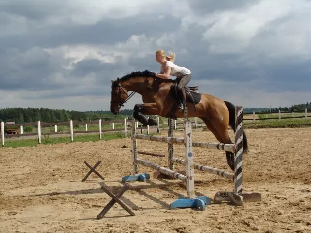 Кск конаковские конюшни разовое занятие на лошади. Кск. Кск звездный конюшня. Кск "арена" - кск «арена». Форум кск.