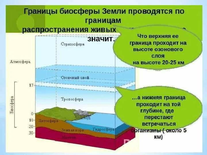 Тропосфера литосфера. Границы биосферы. Верхняя граница биосферы. Верхняя граница биосферы на высоте. От чего зависит распространение живых организмов