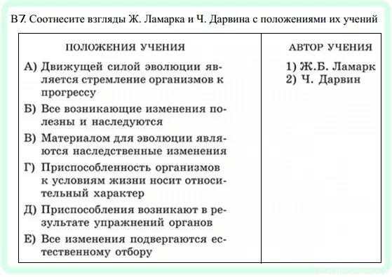 Учение Ламарка и Дарвина. Сравнение теории Дарвина и Ламарка. Сравнение теории эволюции Дарвина и Ламарка. Сравнение учений Ламарка и Дарвина.