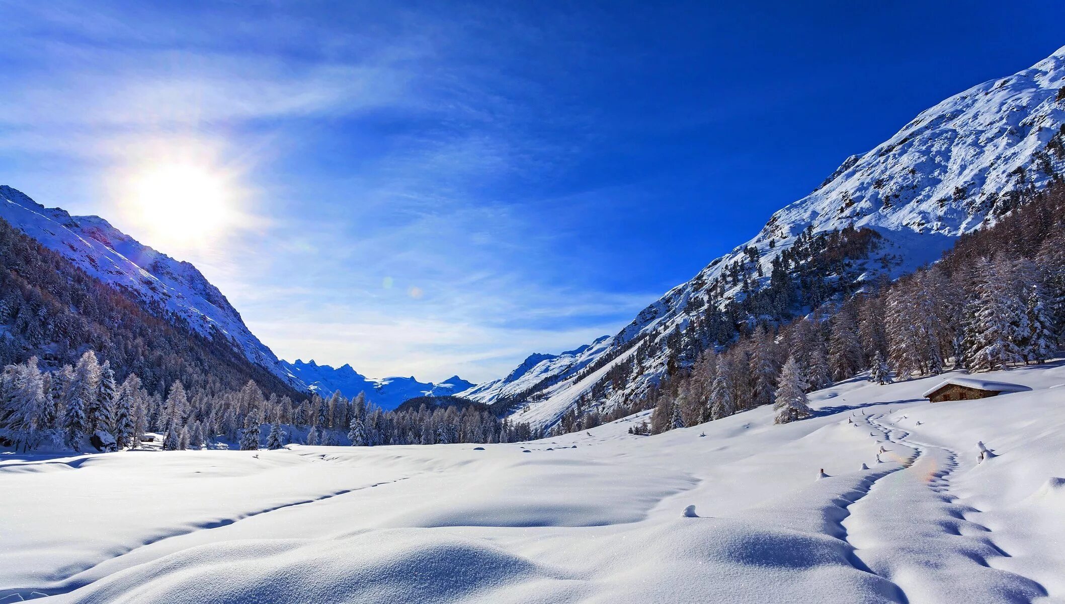 Snowy split