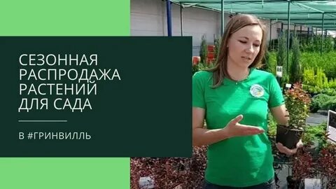 Распродажа растений