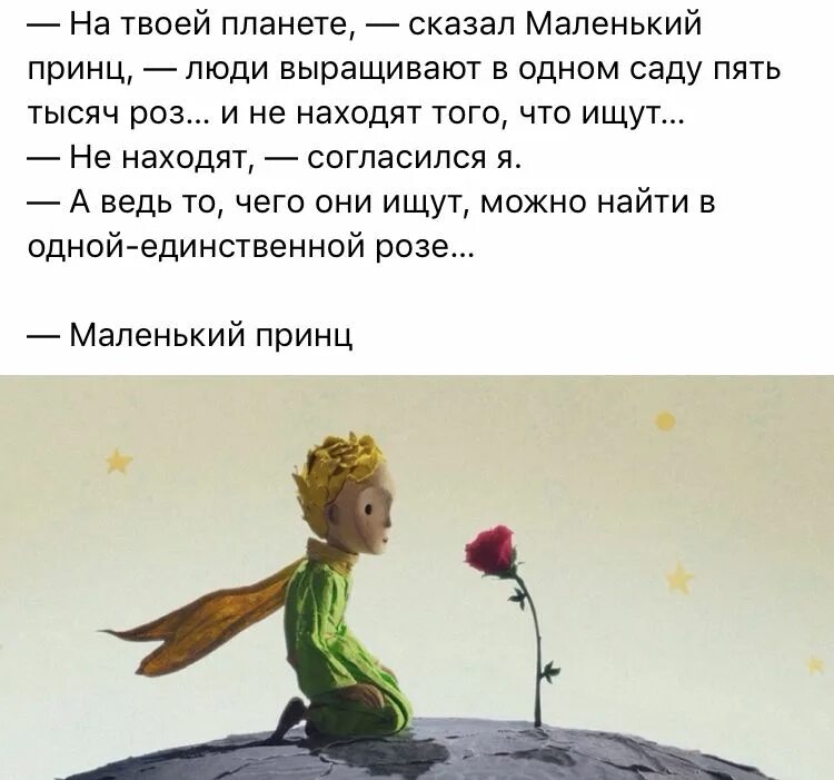 Маленький принц диалог. Маленький принц высказывания. Цитаты из маленького принца про розу. Фразы из маленького принца. Цитаты из маленького принца.