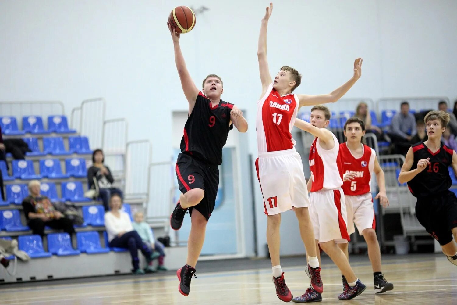 Первенство москвы по баскетболу 2013