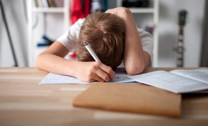 Bored bad. Снижается интерес к учебе. Ребенок учит уроки. Отсутствие мотивации к учебе. Выполнять домашнее задание.